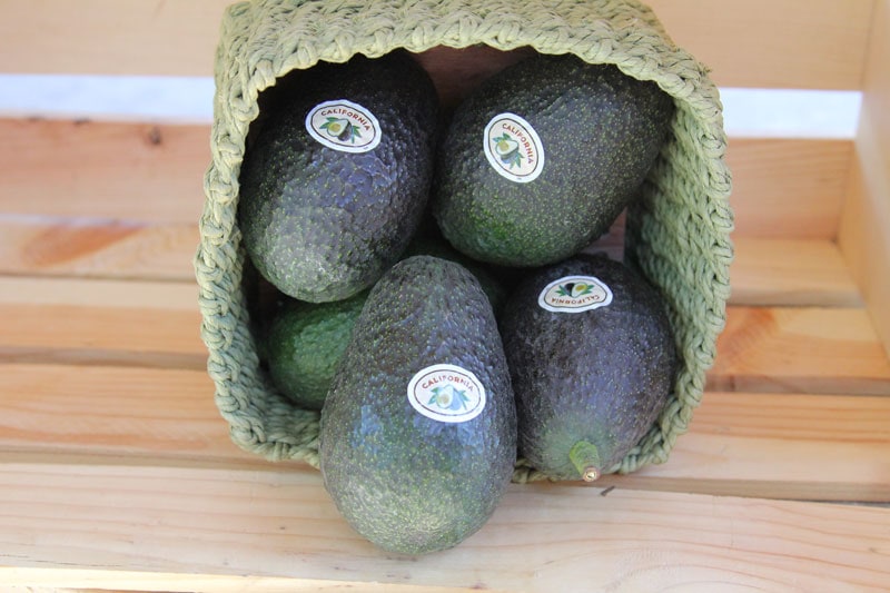 avocadowlabel.jpg