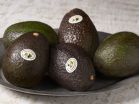 California Avocados Beauty Shot