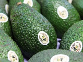 Avocados with a California Avocado label