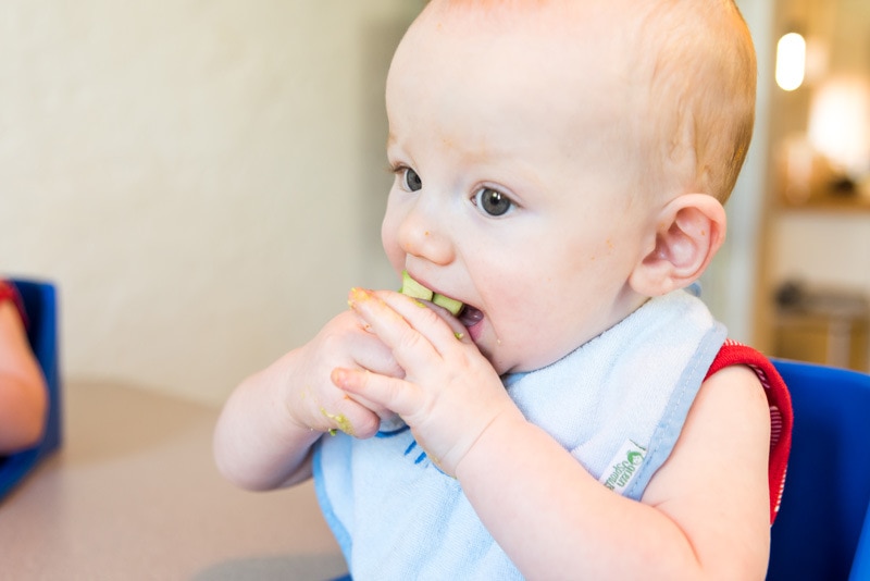 Fourtifiedfamily_HiRes_1118.jpg Fourtifiedfamily_HiRes_1118.jpg