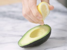 avocado101