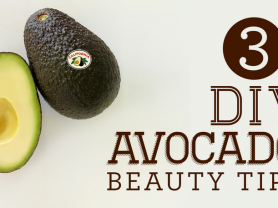 avocado101